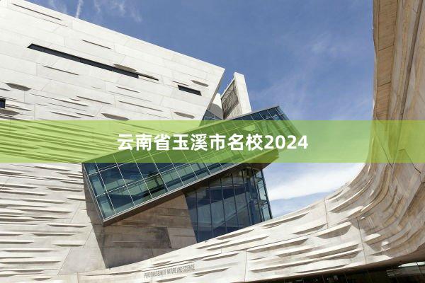 云南省玉溪市名校2024