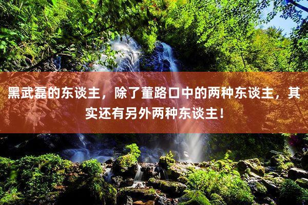 黑武磊的东谈主，除了董路口中的两种东谈主，其实还有另外两种东谈主！