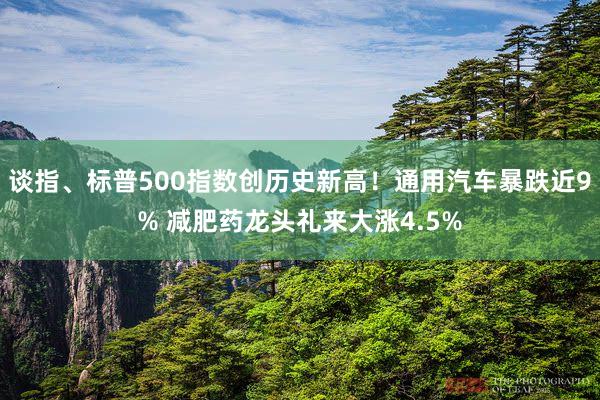 谈指、标普500指数创历史新高！通用汽车暴跌近9% 减肥药龙头礼来大涨4.5%