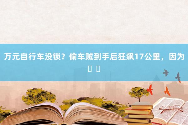 万元自行车没锁？偷车贼到手后狂飙17公里，因为⋯⋯